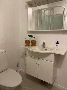 瑟沃格Cosy house near airport的一间带水槽、卫生间和镜子的浴室
