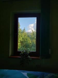 BăniţaCabană cu teren de tenis的卧室的窗户,眺望着一棵树
