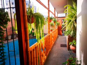 利马Casa Amarello的一个带植物和游泳池的阳台