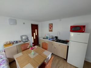 BăniţaCăbănuță cu teren de tenis的一间带桌子和冰箱的小厨房