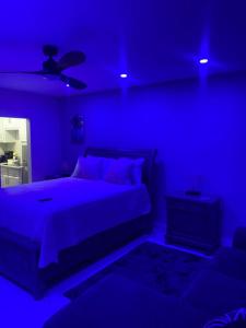 蒙特哥贝City View Luxury Home的蓝色卧室配有床和吊扇