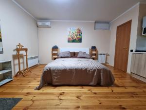 切尔尼戈夫ARTAPARTMENTS-center的一间卧室配有一张床,铺有木地板