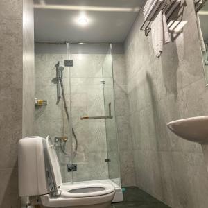 乌拉尔斯克Scandi Hotel的带淋浴、卫生间和盥洗盆的浴室