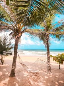 三亚三亚海棠湾民生威斯汀度假酒店(享免税店9.5折)的海滩上两棵棕榈树,配有吊床