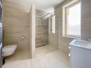 布拉迪斯拉发Elysian Apartment的带淋浴、卫生间和盥洗盆的浴室