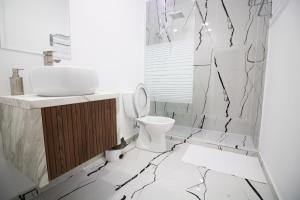 布泽乌HOTEL GLAMOUR IMPERIAL的一间带卫生间和水槽的浴室