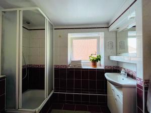 维尔纽斯米卡洛旅舍的带淋浴和盥洗盆的浴室