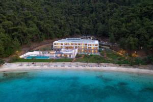 克里斯阿穆迪亚Vathi Cove Luxury Resort & Spa的海滩上酒店空中景色