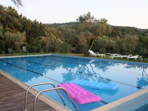 梅达Inviting holiday home in Maida with swimming pool的游泳池配有2把粉红色的躺椅