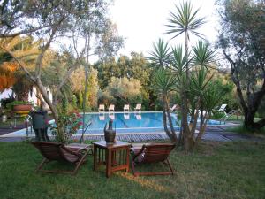 梅达Inviting holiday home in Maida with swimming pool的游泳池前的两把椅子和一张桌子