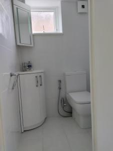 诺斯伍德Beautiful House in Ruislip的白色的浴室设有卫生间和窗户。