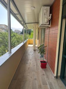 波格拉德茨Ledio’s Luxury Apartment的一座种植了盆栽植物的建筑的空阳台