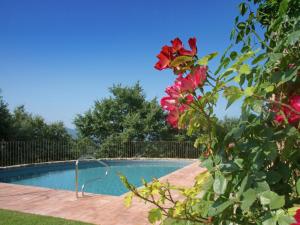 阿雷佐Ritzy Villa on a Wine Estate in Arezzo with Pool的围栏旁的红色花池