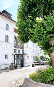锡尔克堡维特斯胡斯会议中心酒店的前面有一棵树的白色大建筑