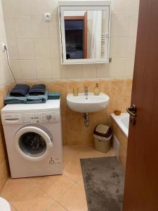 布达佩斯Sissy20 Apartman的一间带洗衣机和水槽的浴室