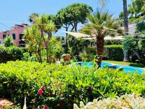 坎普码头Hotel Elba的一个带游泳池、棕榈树和灌木的度假胜地