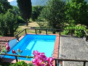 圣马尔切洛皮斯托耶塞Lovely Holiday Home with private pool的绿树成荫的花园中的蓝色游泳池