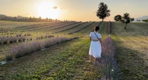 Serramazzonila baita nei boschi的日落时分穿过薰衣草场的女人