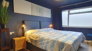 基督城Good Vibes的蓝色的卧室设有床和窗户