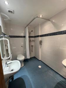 黑德科恩肯特原野高尔夫酒店的一间带水槽、卫生间和淋浴的浴室