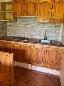 ZagaroloMyosotyss apartment的一个带木制橱柜和水槽的厨房