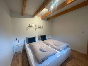 费尔德伯格Berggasthof zur Todtnauer Hütte的一间卧室配有一张带蓝色枕头的大床