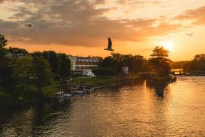 埃格姆泰晤士河拉尼米德酒店的一群鸟在日落时分飞越河上