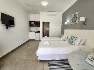 圣卢西亚Hippo Lodge Apartments的一间酒店客房,设有两张床和电视