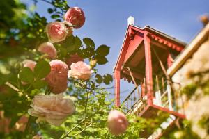 LʼHermenaultLe Couvent的红鸟屋,在一棵树上,有粉红色的玫瑰