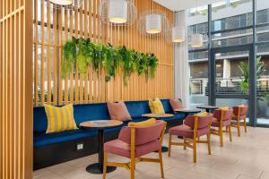 开普敦Neighbourgood Newlands的餐厅设有蓝色的沙发、椅子和植物