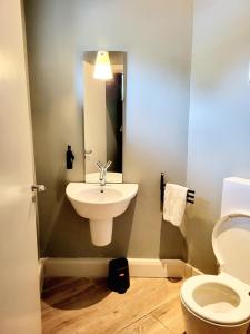 沃特福德Beautiful 2-Bed Apartment near Waterford City的一间带水槽和卫生间的浴室