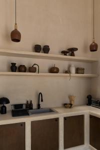 坎佩切Narrativ Lofts - Lira - Mid Century Cozy Retreat的厨房配有水槽和带陶器的架子