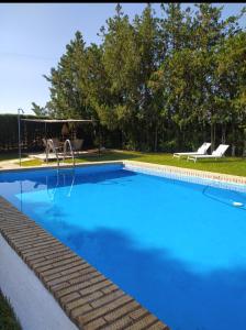 巴达霍斯La Zagala的庭院里的一个蓝色海水游泳池