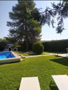 巴达霍斯La Zagala的一个带游泳池和树的庭院