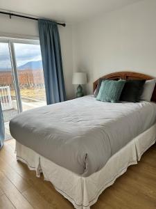 奥索尤斯Sonora Desert Inn的卧室设有一张大床,卧室设有大窗户
