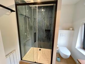 巴蒂斯Gite Pays de Herve - Emeraude的一间带卫生间的浴室内的玻璃淋浴间