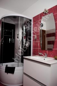 皮亚特拉-尼亚姆茨Pensiunea CASA MOLDOVEANA的一间带水槽、淋浴和镜子的浴室