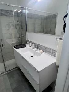 科森扎Casa Dei Cavalieri的白色的浴室设有水槽和淋浴。