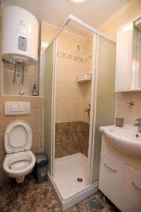 普莱曼图拉Apartman Cinkopan Premantura 1的带淋浴、卫生间和盥洗盆的浴室