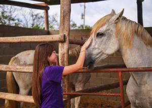 La PlayaMini Casa Campestre Privada的一只小女孩在围栏后面抚摸一匹马