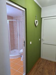 克尔茨什瓦拉乡Pensiunea Păstrăvul的带淋浴和卫生间的浴室以及绿色墙壁。