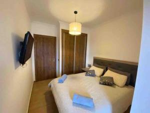 马拉喀什Splendido appartamento a Gueliz的一间卧室配有一张大床和两个蓝色枕头
