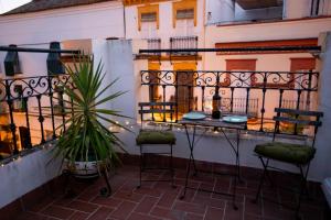 塞维利亚Apartamentos Doña Concha的阳台配有桌椅和植物