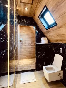 马达巴Deadsea OCTAGON的一间带卫生间和淋浴的浴室