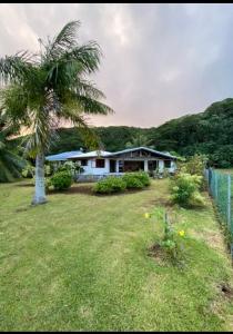 OpoaCHEZ TAUA maison isolée pas de wifi ni bus的院子里有棕榈树的房子
