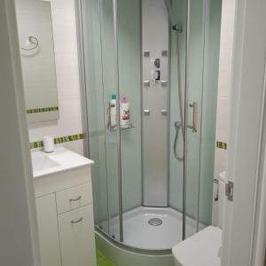 博伊罗Amaral Miramar的带淋浴、卫生间和盥洗盆的浴室