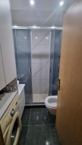 皮罗特Aleksandar的一间带卫生间和玻璃淋浴间的浴室