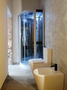 坎波马里诺Rambling Rooms的一间带卫生间和玻璃淋浴间的浴室