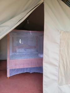 凯科罗克Mara Forest camp的帐篷内的一个床位房间