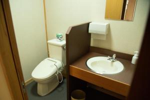 黑部市田中日式旅馆的一间带卫生间和水槽的浴室